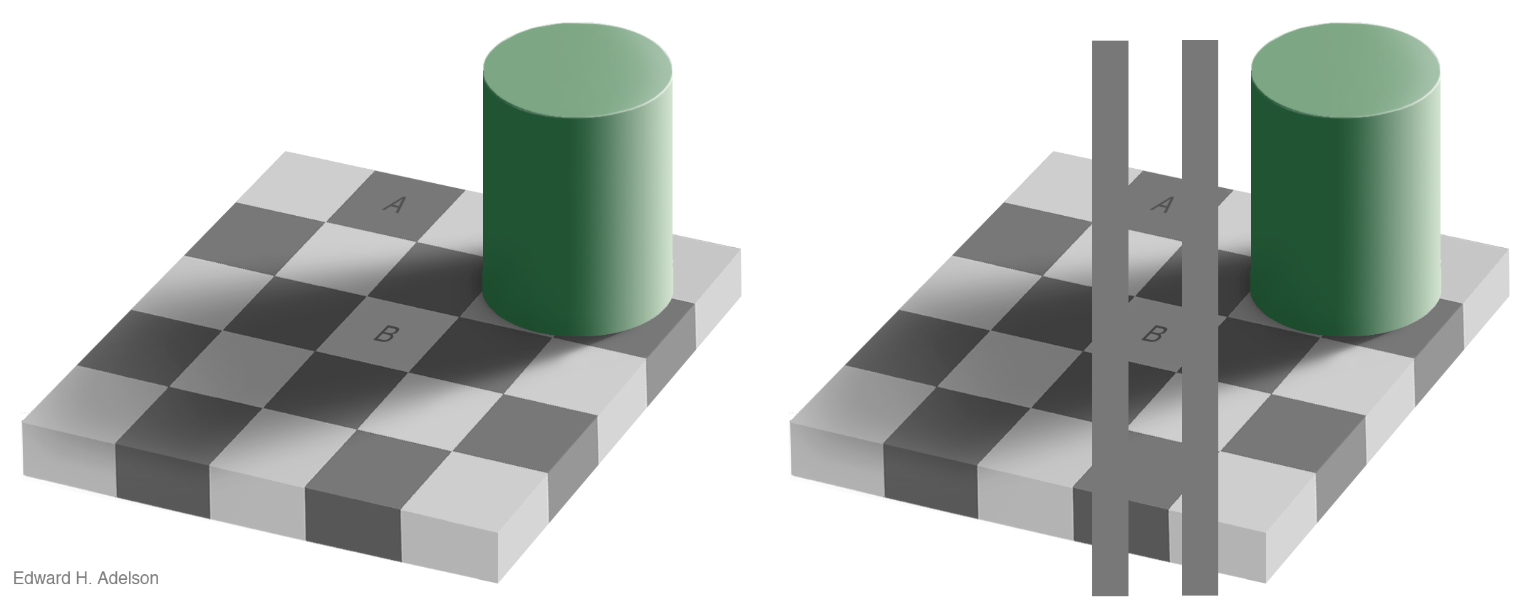 The checkershadow illusion (Edward H. Adelson).